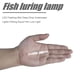 thumbnail image 3 of Flash LED luces subacuáticas señuelo de pesca cebo que atrae la lámpara de peces nocturnos Tmvgtek pescar, 3 of 4