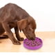 thumbnail image 5 of CHAO Cuenco de alimentación lenta, cuenco de alimentación para perros mediano y grande, amplía el tiempo de alimentación para prevenir diversas enfermedades causadas por uno, 5 of 5