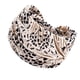 thumbnail image 2 of Diadema ancha para mujer, elástica, absorbente del sudor, antideslizante, banda para el sudor de uso rápido Estilo F, 2 of 9
