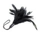 thumbnail image 2 of Soft Flirting Feather Tickler para Night Party Funny Broma Toy Gift Favors Sunnimix Juguetes de cosquillas para ligar, 2 of 7
