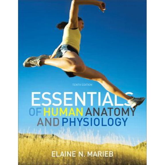 Pre-Owned Essentials of Human Anatomy & Physiology (10th Edition) (Paperback) 0321695984 9780321695987