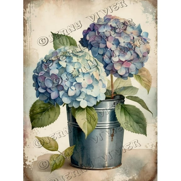 Hydrangea Flower Retro Aluminum Sign 5.5x8 IN Metal Sign Cactus Farmhouse Wall Decor Rustic French Wall Picture Garden Tin Signs for Cafes Club Pub Man Cave Wall Sign Gifts