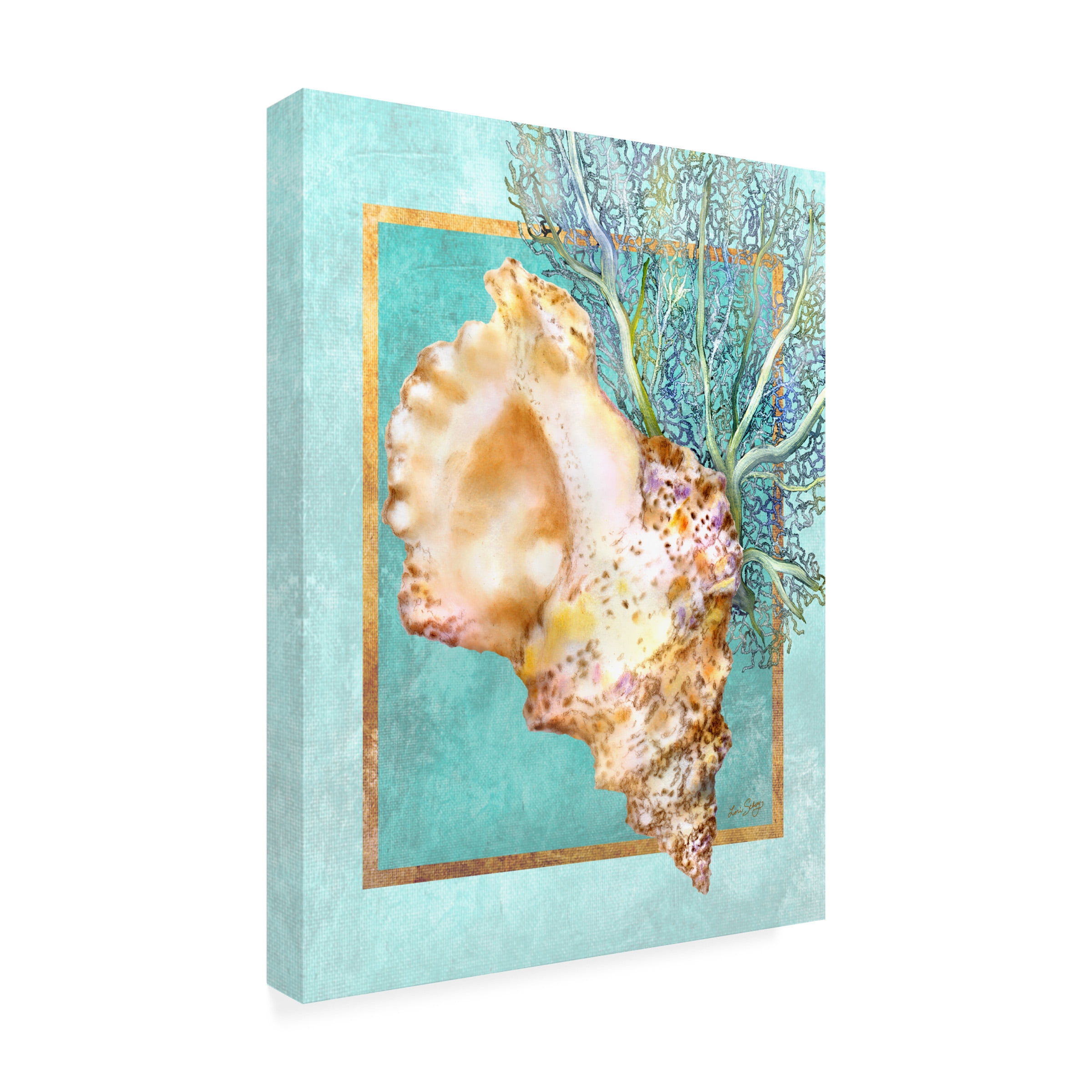 Lori Schory 'Conch Shell And Coral' Outdoor Canvas 19x14