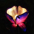 thumbnail image 1 of Solar Powered Flower Light LEDs Lawn Lamp Decorative Stake Lantern IP55 Water-resistant Outdoor Lights for Walkway Lawn Path Garden Landscape Lamps, 1 of 5