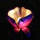 thumbnail image 1 of Solar Powered Flower Light LEDs Lawn Lamp Decorative Stake Lantern IP55 Water-resistant Outdoor Lights for Walkway Lawn Path Garden Landscape Lamps, 1 of 5