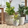 thumbnail image 4 of 3-Piece Round Concrete Planter Set (13”+11”+9”) – Large Indoor Outdoor Plant Pots with Drainage Hole & Rubber Plug, Modern Cement Garden Planters for Patio, Balcony, Home Décor (SH006), 4 of 12