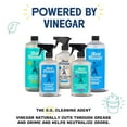 thumbnail image 5 of Aunt Fannie’s Toilet Bowl Cleaner, Bleach-Free Cleaner Powered by Vinegar, Freshens and Removes Stains, Eucalyptus Scent, 24 fl oz, Pack of 1, 5 of 8