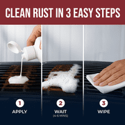 Stainless Steel Rust Remover and Cleaner, 17 Fluid Ounce
