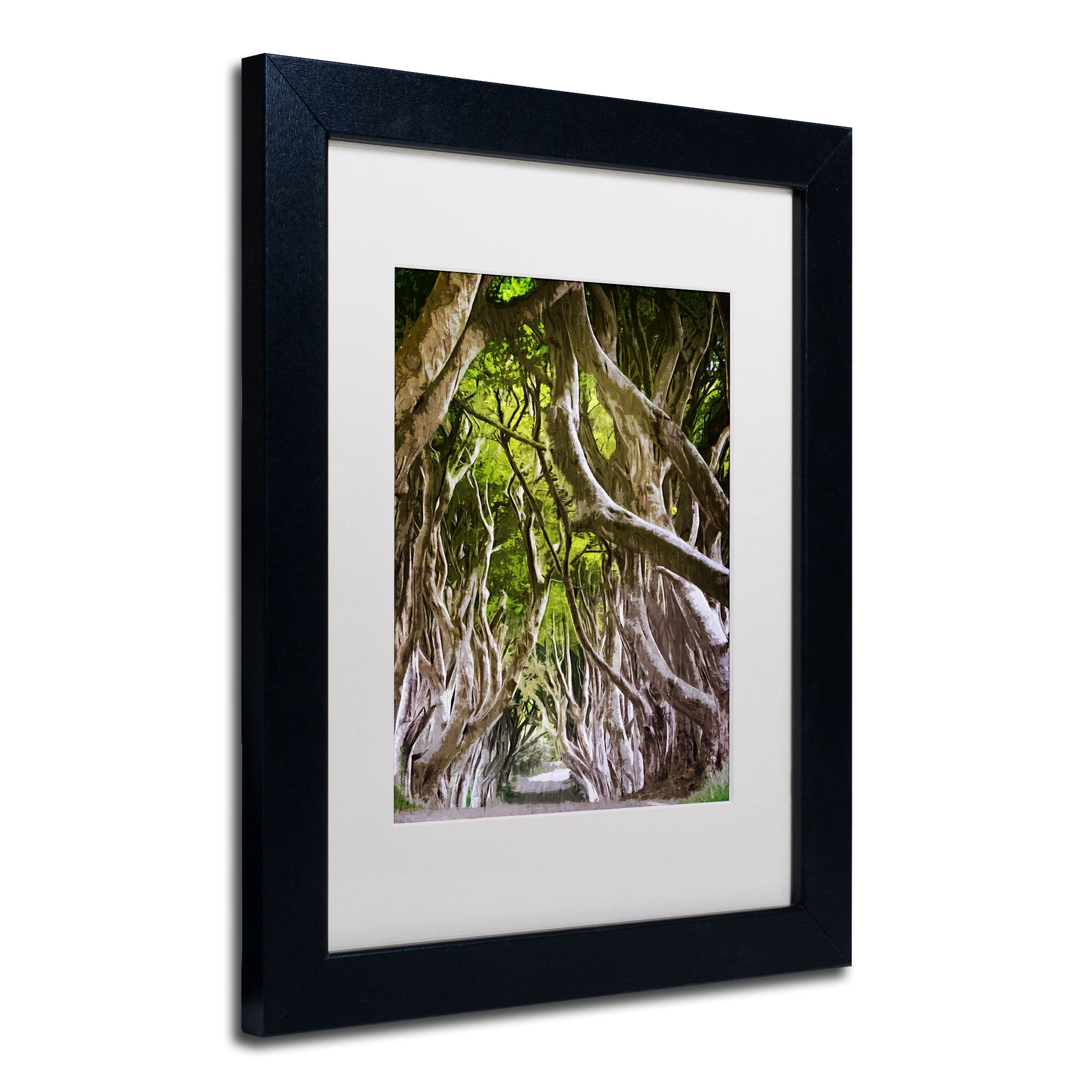 Trademark Fine Art "King of the Woods" Canvas Art by Philippe Sainte-Laudy, White Matte, Black Frame