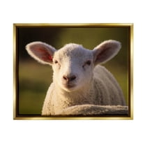 Stupell Industries Gazing Farm Sheep Photograph Photograph Metallic Gold Floating Framed Canvas Print Wall Art, Design by Daphne Polselli