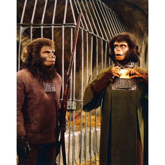 Planet Of The Apes 24X36 Classic Hollywood Poster Kim Hunter And Ape