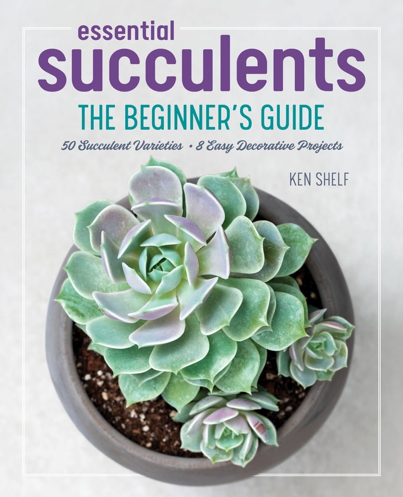 多肉植物全書 All about SUCCULENTS 多肉植物全書 All about SUCCULENTS | パワポン・スパナンタナー