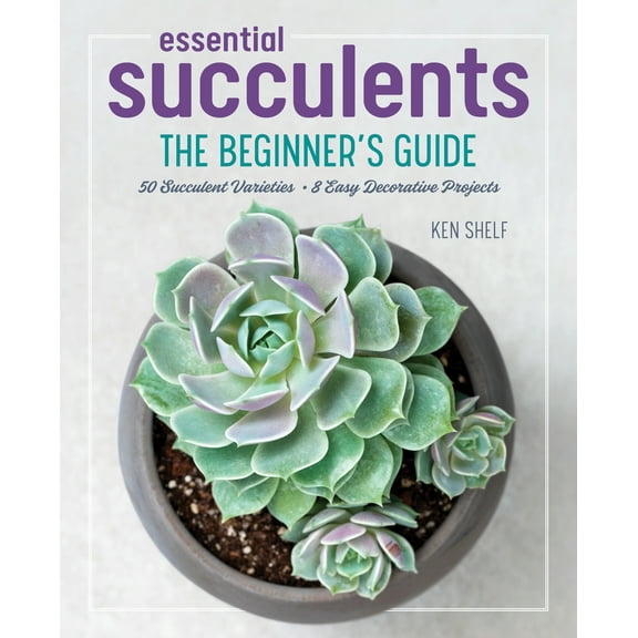 Pre-Owned Essential Succulents: The Beginner's Guide (Paperback) 1641522550 9781641522557