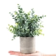 thumbnail image 2 of Coferset Paquete de 2 pequeñas plantas artificiales de eucalipto en maceta para estante, escritorio, hogar, baño, granja, habitación, mesa de café, decoración (verde salvia), 2 of 7