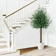 thumbnail image 3 of 67" Artificial Plant Olive Tree Faux Plant for Home Decor Indoor Outdoor Office, 3 of 7