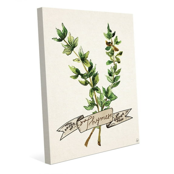 Watercolor Thyme on Biege - Grunge | 16" x 20" Canvas Wall Art