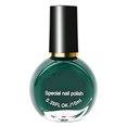 thumbnail image 1 of Esmalte de uñas 10 ml, color brillante saturado, estilo elegante, secado rápido, larga duración, esmalte de uñas de secado rápido E049-17, 1 of 12