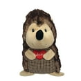 thumbnail image 1 of VIBRANT LIFE Brown Squeaker Cozy Hedgehog Dog Toy, 1 of 5