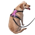 thumbnail image 2 of Balery Fun Rainbow Pink Arnés para Perros Grandes Antitirones, Arnés con Correa para Gato, Arnés Tipo Chaleco para Perros Pequeños-X-Large, 2 of 6