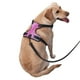 thumbnail image 2 of Fotbe Fun Rainbow Pink Arnés para Perro con Estampado –Chaleco Ajustable Acolchado con Asa de Control para Perros Grandes-Small, 2 of 6