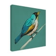 thumbnail image 2 of Trademark Fine Art 'Winged Sketch II on Teal' Canvas Art by Chariklia Zarris, 2 of 4