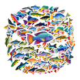 thumbnail image 2 of 35pcs-100pcs Tropical Fish Stickers Ocean Animal Stickers Marine Life Kids Stickers for Laptops Suitcases Notebooks, 2 of 9