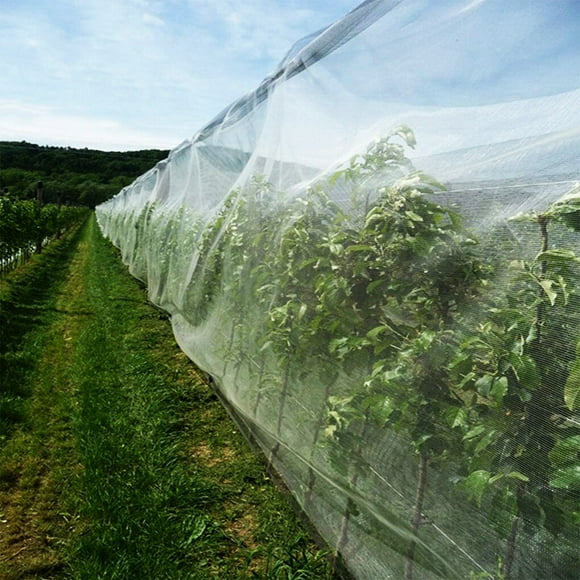 Garden Plants Netting Greenhouse Mesh Netting Reusable Mesh Netting Garden Vegetable Mesh Netting Anti-insect Garden Netting