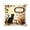 D, variant on THOPBPRK Vintage Halloween CAT and Crow Linen Throw Pillow Cover 18x18 Inch, Decorative Square Cushion Case for Sofa Bed, Spooky Fall Home Decor Accessories, 1Pack E