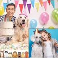 thumbnail image 5 of BR Juego de cascabeles para perros y gatos ruidosos, cascabeles para Collar con rastreador de mascotas, cascabeles colgantes con dijes para arnés para perros y gatos, 5 of 5