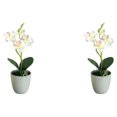 thumbnail image 4 of Planta artificial Billuyoard Aspecto realista en maceta Blanco 2Conjunto, 4 of 6
