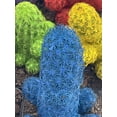 thumbnail image 3 of Colored Cactus / Desert Gem / Painted Dyed Blue / Red / Purple / Yellow / Pink / Green, Orange Cactus Rainbow Cactus, 3 of 9
