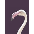 thumbnail image 3 of Design Fabrikken 11x14 Black Modern Framed Museum Art Print Titled - The Flamingo, 3 of 5