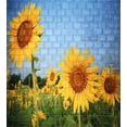 thumbnail image 3 of Brick Wall Duvet Cover Set, Sunflower Drawing on Wall Peaceful Habitat Meadow Valley in Rural Village, Decorative 3 Piece Bedding Set with 2 Pillow Shams, Queen Size, Yellow Green, by Ambesonne, 3 of 3