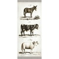 thumbnail image 3 of Babbitt, Gwendolyn 10x18 Black Modern Framed Museum Art Print Titled - Burro, Cow, Sheep, 3 of 5