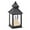 A, variant on LED Multicolor Hanging Lantern Battery Powered Portable Table Decor Light for Indoor Hearth Parties Centerpieces