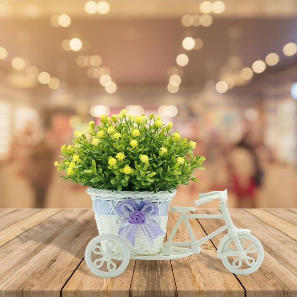 GROWTH TANK Flower Basket Container Tricycle Flower Container
