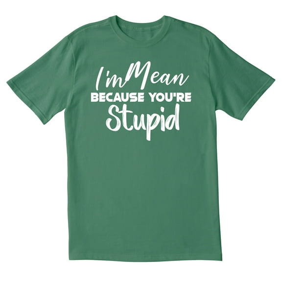 TotallyTorn I Am Mean Because You Are Stupid Novelty Sarcastic Funny Mens Graphic T Shirts