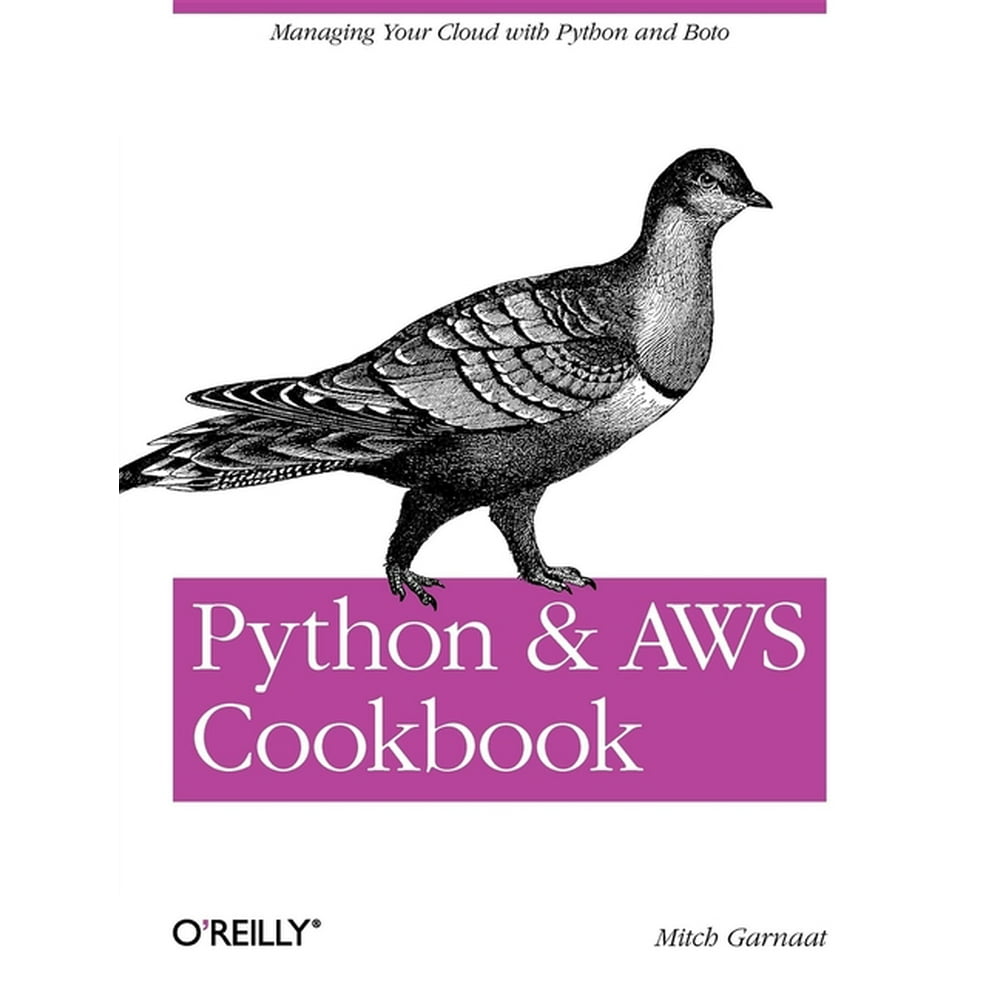 Python and Aws Cookbook : Managing Your Cloud with Python and Boto ...