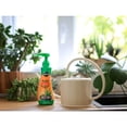 thumbnail image 5 of Miracle-Gro Succulent Plant Food 236mL, 5 of 5