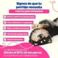 thumbnail image 2 of Dogelthy Probióticos Para Perros Gastro Aid 270g, 2 of 5