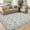 Gray, variant on Senfot 8x10 Floral Print Area Rug Machine Washable Non-Slip Stain Resistant Low Pile Bordered Farmhouse Rug for Living Room Bedroom Home Office Blue