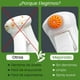 thumbnail image 3 of Dispensador Aceite Spray de Vidrio Hiperware de 200ml con Brocha, 3 of 5