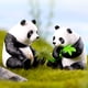 thumbnail image 2 of Adornos de Pastel de Juguete Billuyoard Panda PVC Decorativo, 2 of 6