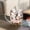 S01, variant on Double-Wall Insulated Glass Mug with Handle,High Borosilicate Glass Coffee Cup for Hot & Cold Drinks - Decorative with Flowers/Shells/Glitter,Tea, Latte, Iced Beverage Cup