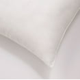 Cozy Clouds Big and Lofty Euro Pillow