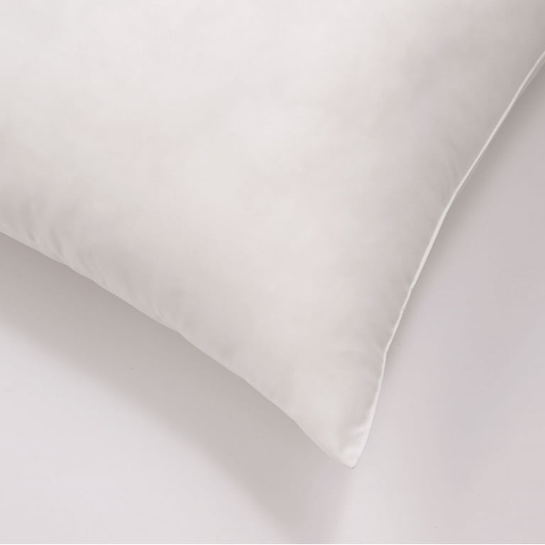 Cozy Clouds Big and Lofty Euro Pillow Set of 2