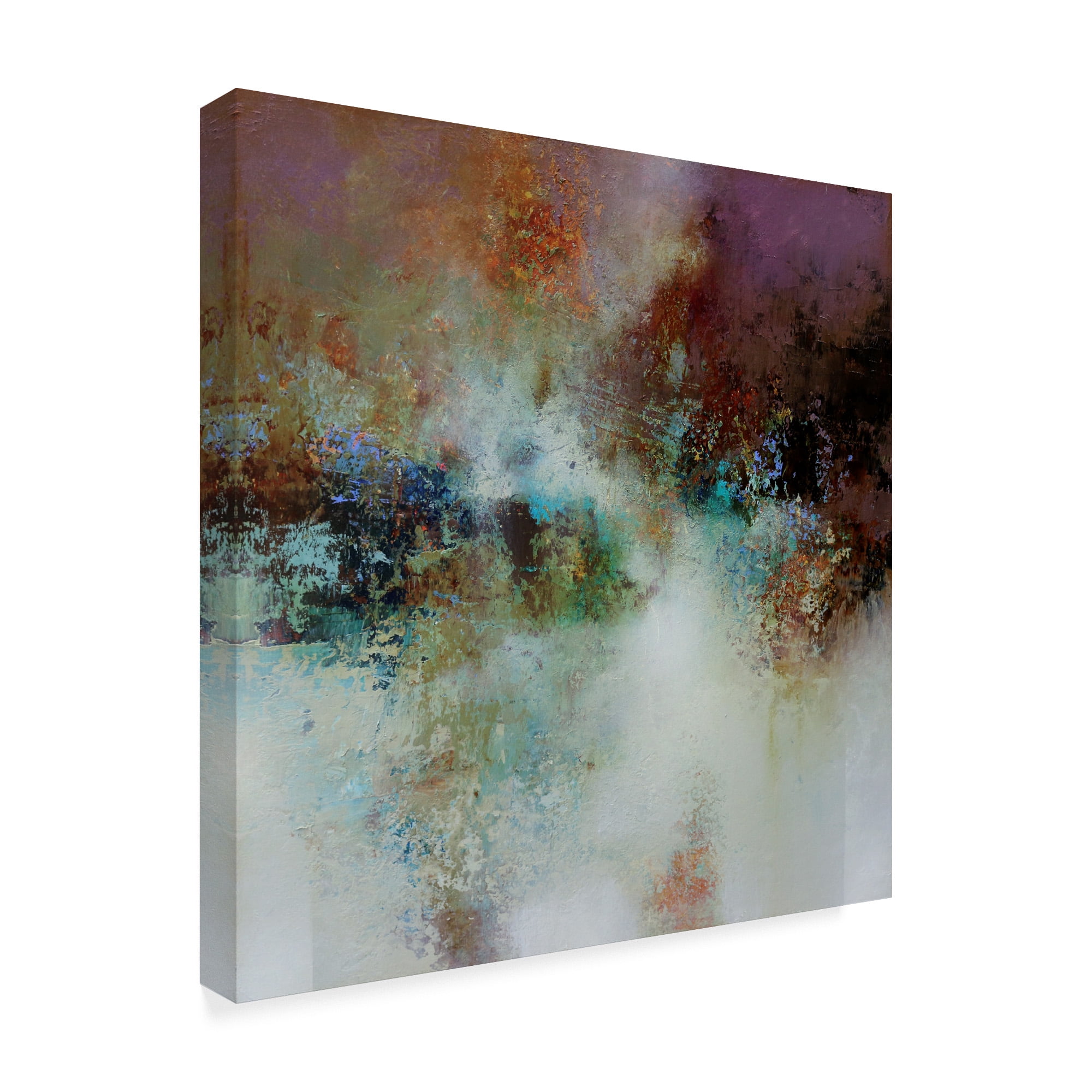 Trademark Fine Art 'Spiritual Essence' Canvas Art by CH Studios