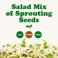 thumbnail image 6 of Salad Mix of Sprouting Seeds, 5 Pounds - Sproutable, Kosher, Raw, Vegan - by Food to Live, 6 of 9