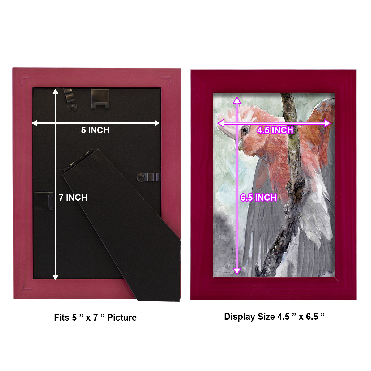 Tropic Parrot II - Framed Print w/glass - Cherry Red