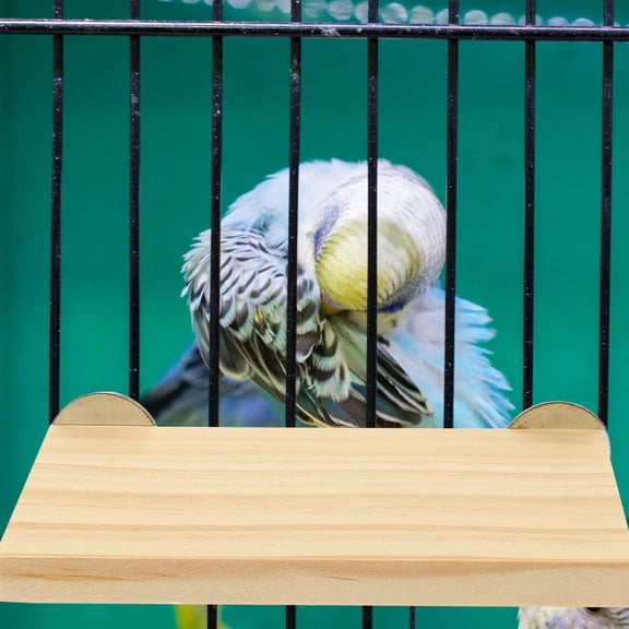 DEEPCRAFF Natural Wooden Bird Perch Stand with Stainless Steel Hardware for Parrots and Small Pet Birds